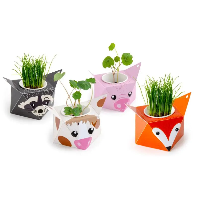 La farandole des animaux - Coffret d'activités